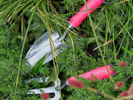 Burgon and Ball Burgon and Ball - Fluorescent Hand Trowel - Trowel - AllotMate Essentials - GFB/HTPINK - 5019360013129