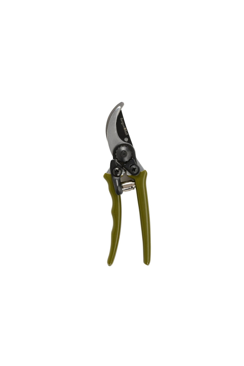 Collectors Micro Secateurs – Olive Green Precision Pruners | Burgon & Ball | Bypass Secateur | GCC/MPOLIVE 5019360204466 | AllotMate Essentials