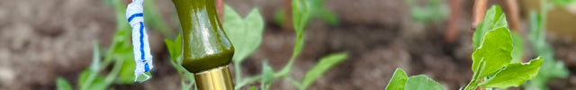 Planting Trowel – Olive Green Collectors Range | FSC Tool by Burgon & Ball | Planting Trowel | GCC/SPTOLIVE | AllotMate Essentials