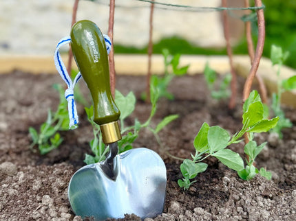 Burgon and Ball Burgon and Ball - NEW Collectors Range Olive Planting Trowel FSC 100% - Planting Trowel - AllotMate Essentials - GCC/SPTOLIVE - 