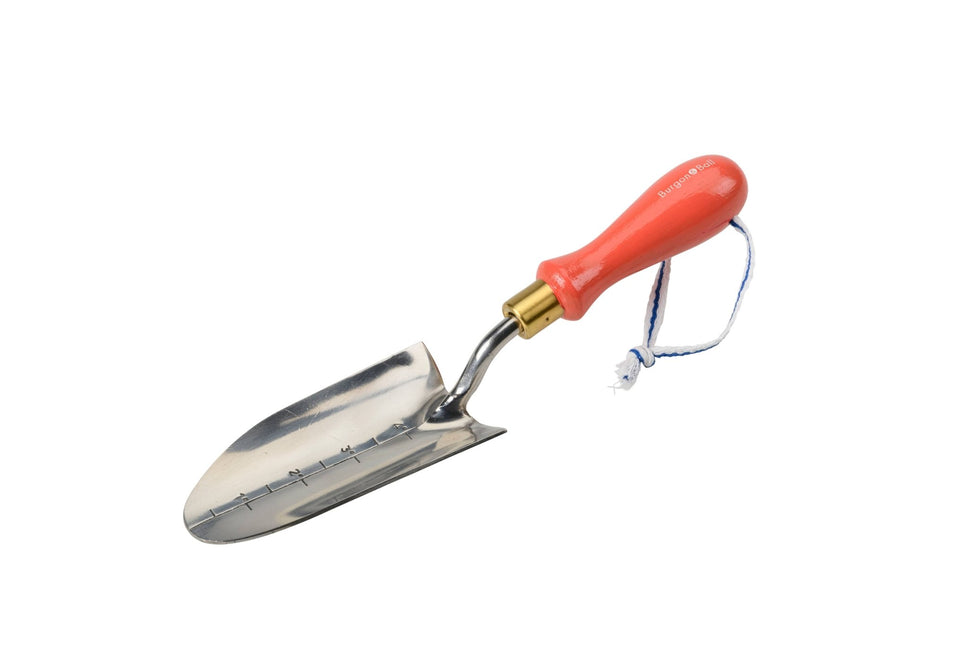 Red Transplanter – Collectors Range Garden Tool | FSC Certified by Burgon & Ball | | GCC/STPRED | AllotMate Essentials
