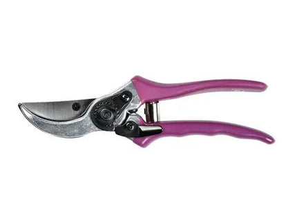Burgon and Ball Burgon and Ball - RHS Gift Secateurs Asteraceae - Secateurs - AllotMate Essentials - GRH/SCBOXASTER - 