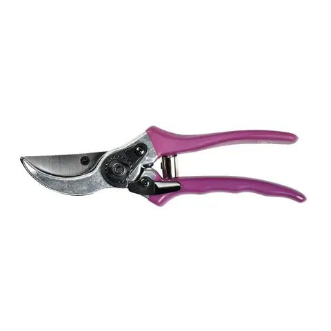 Burgon and Ball Burgon and Ball - RHS Gift Secateurs Asteraceae - Secateurs - AllotMate Essentials - GRH/SCBOXASTER - 