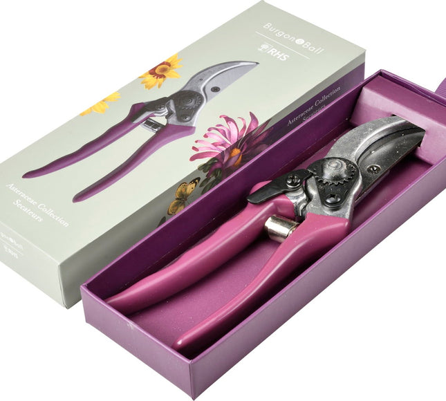 Burgon and Ball Burgon and Ball - RHS Gift Secateurs Asteraceae - Secateurs - AllotMate Essentials - GRH/SCBOXASTER - 
