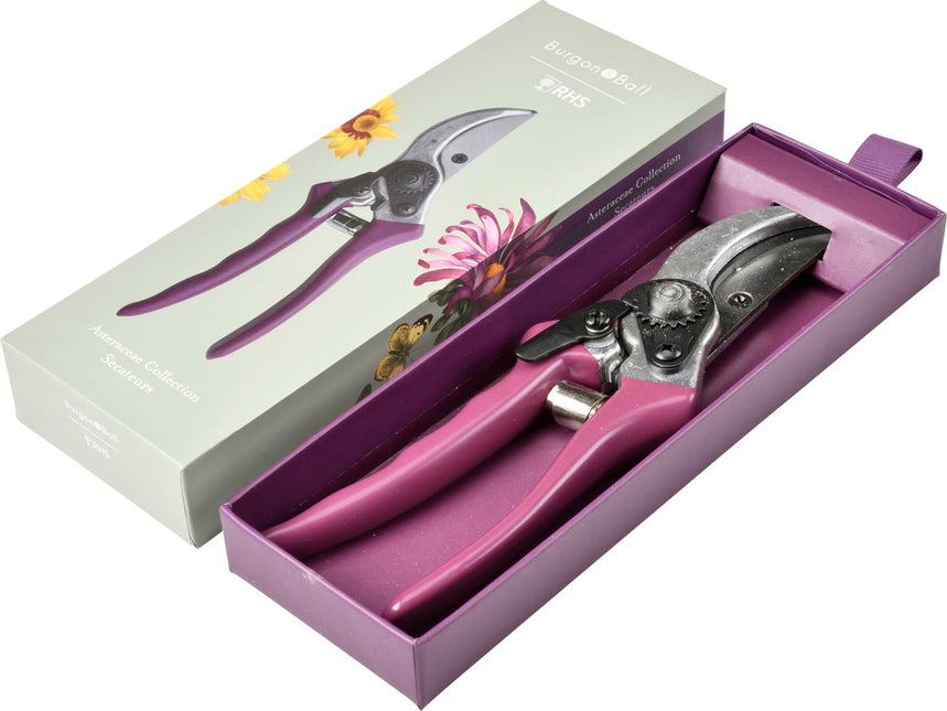 Burgon and Ball Burgon and Ball - RHS Gift Secateurs Asteraceae - Secateurs - AllotMate Essentials - GRH/SCBOXASTER - 