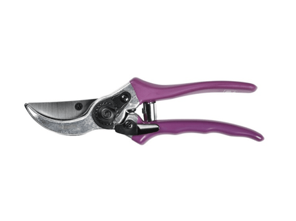 Burgon and Ball Burgon and Ball - RHS Gift Secateurs Asteraceae - Secateurs - AllotMate Essentials - GRH/SCBOXASTER - 