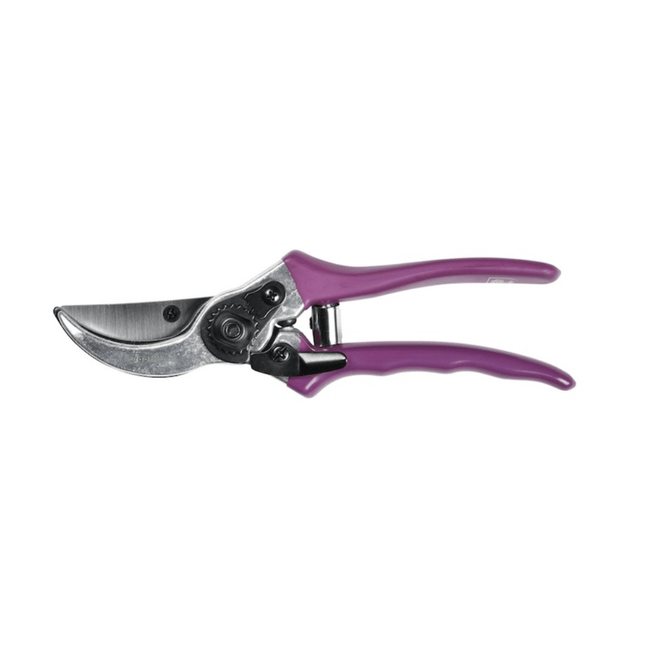 Burgon and Ball Burgon and Ball - RHS Gift Secateurs Asteraceae - Secateurs - AllotMate Essentials - GRH/SCBOXASTER - 