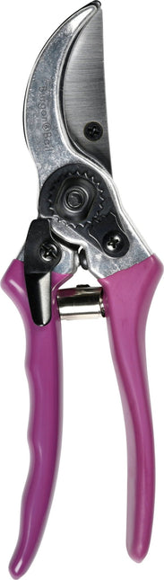 Burgon and Ball Burgon and Ball - RHS Gift Secateurs Asteraceae - Secateurs - AllotMate Essentials - GRH/SCBOXASTER - 