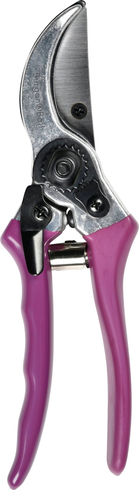 Secateur - RHS Gift Set with Asteraceae Design | FSC Tools by Burgon & Ball | Secateurs | GRH/SCBOXASTER 5019360203865 | AllotMate Essentials