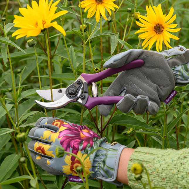 Burgon and Ball Burgon and Ball - RHS Gift Secateurs Asteraceae - Secateurs - AllotMate Essentials - GRH/SCBOXASTER - 