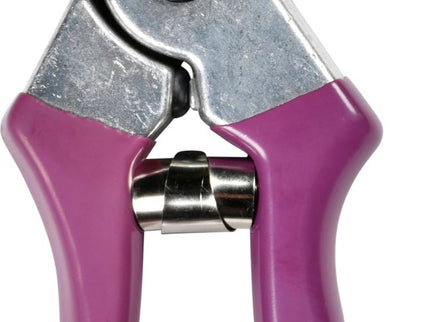 Burgon and Ball Burgon and Ball - RHS Gift Secateurs Asteraceae - Secateurs - AllotMate Essentials - GRH/SCBOXASTER - 