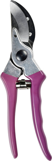 Secateur - RHS Gift Set with Asteraceae Design | FSC Tools by Burgon & Ball | Secateurs | GRH/SCBOXASTER 5019360203865 | AllotMate Essentials