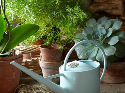 Indoor Watering Can – Blue Metal Can for Houseplants | Sophie Conran by Burgon & Ball | Indoor Watering Can | GSC/ICBLUE 5019360009443 | AllotMate Essentials