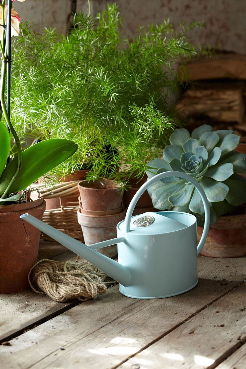 Indoor Watering Can – Blue Metal Can for Houseplants | Sophie Conran by Burgon & Ball | Indoor Watering Can | GSC/ICBLUE 5019360009443 | AllotMate Essentials