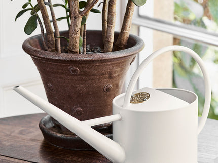 Indoor Watering Can – Buttermilk Cream Houseplant Can | Sophie Conran by Burgon & Ball | Indoor Watering Can | GSC/ICBMILK 5019360014027 | AllotMate Essentials