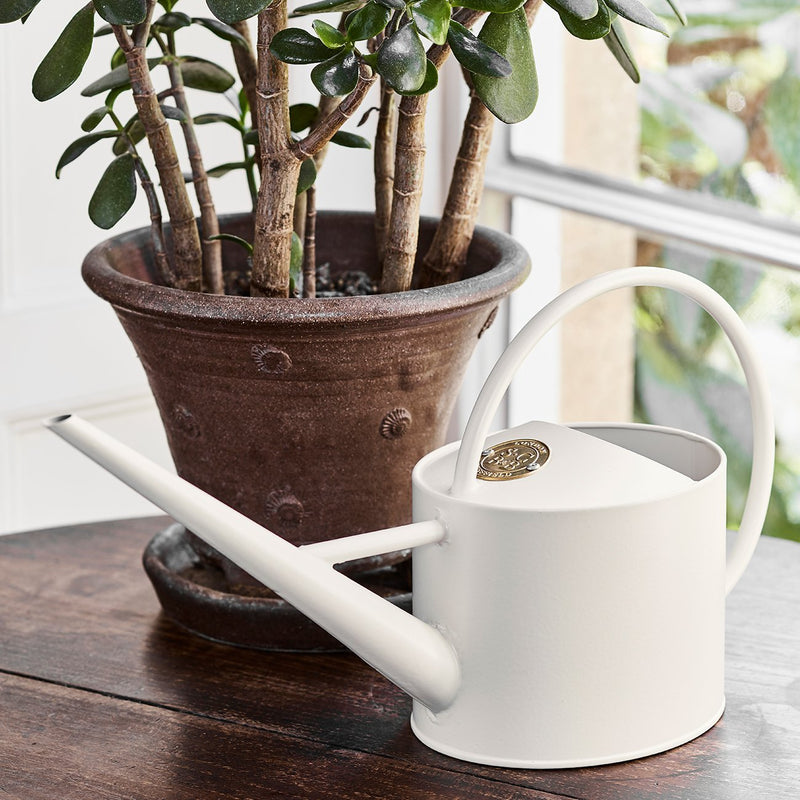 Indoor Watering Can – Buttermilk Cream Houseplant Can | Sophie Conran by Burgon & Ball | Indoor Watering Can | GSC/ICBMILK 5019360014027 | AllotMate Essentials