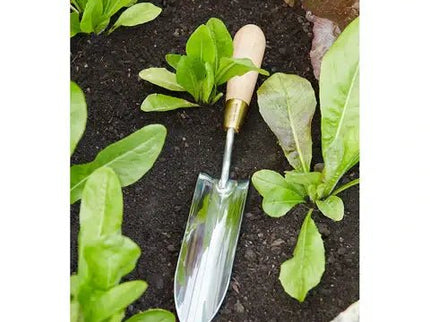 Burgon and Ball Burgon and Ball - Sophie Conran Long Thin Trowel (Gift Boxed) - AllotMate Essentials - GSC/LTTROW - 
