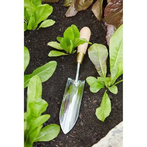 Long Thin Trowel – Sophie Conran Gift Boxed Garden Tool | Burgon & Ball | Trowel | GSC/LTTROW 5019360201687 | AllotMate Essentials