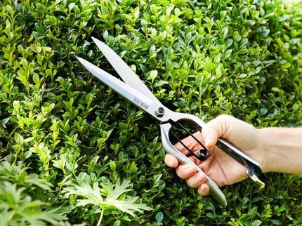 Burgon and Ball - Sophie Conran Topiary Shear (Gift Boxed) - Topiary Shear - AllotMate Essentials - GSC/TOPSH