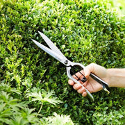 Burgon and Ball - Sophie Conran Topiary Shear (Gift Boxed) - Topiary Shear - AllotMate Essentials - GSC/TOPSH