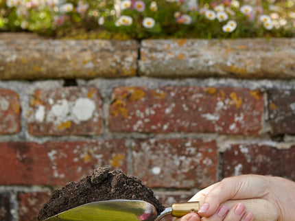 Burgon and Ball Burgon and Ball - Sophie Conran - Trowel (Gift Boxed) - Planting Trowel - AllotMate Essentials - GSC/TROW - 