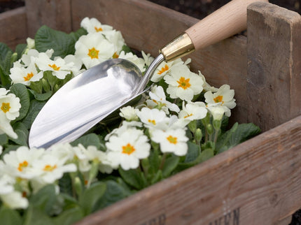 Burgon and Ball Burgon and Ball - Sophie Conran - Trowel (Gift Boxed) - Planting Trowel - AllotMate Essentials - GSC/TROW - 