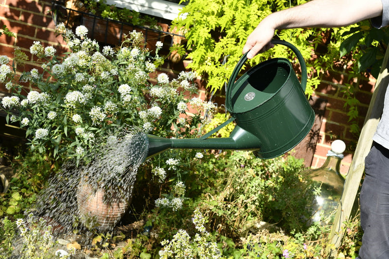 Burgon and Ball - Watering Can 9 Litre - British Racing Green - Watering Can - AllotMate Essentials - GTW/W9DG