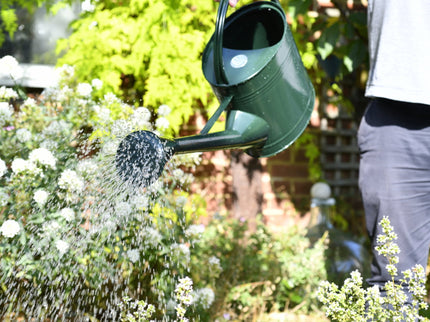 Burgon and Ball - Watering Can 9 Litre - British Racing Green - Watering Can - AllotMate Essentials - GTW/W9DG