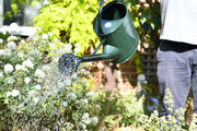Burgon and Ball - Watering Can 9 Litre - British Racing Green - Watering Can - AllotMate Essentials - GTW/W9DG