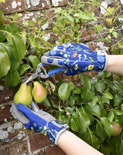 British Meadow Snips – Precision Flower & Fruit Cutter | RHS by Burgon & Ball | Flower & Fruit Snip | GRH/SNIPBM 5019360202240 | AllotMate Essentials