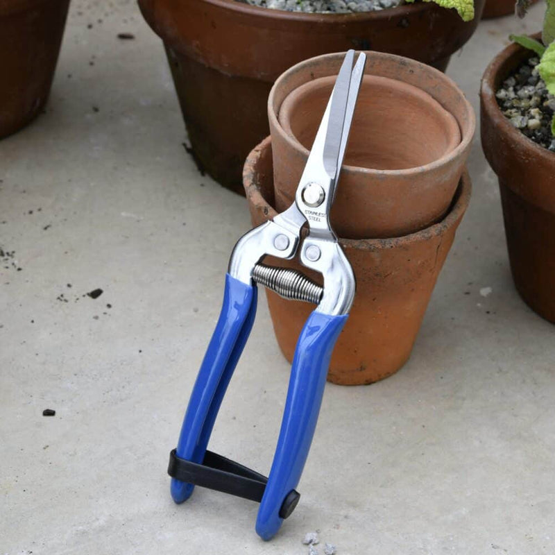 British Meadow Snips – Precision Flower & Fruit Cutter | RHS by Burgon & Ball | Flower & Fruit Snip | GRH/SNIPBM 5019360202240 | AllotMate Essentials