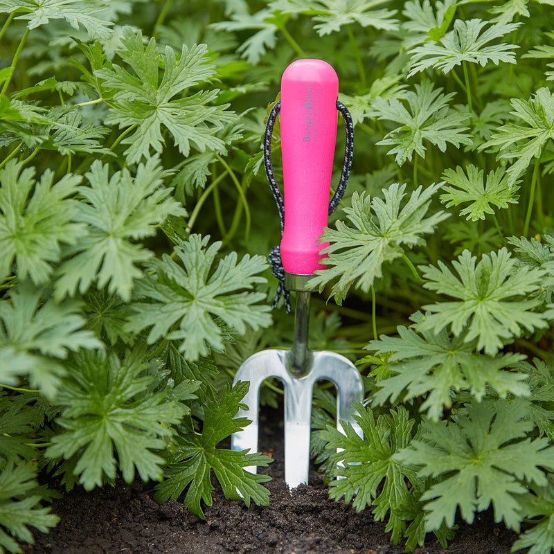 FloraBrite® Fluorescent Hand Fork – Bright Garden Tool in Pink or Yellow | Burgon & Ball | Fork | GFB/HFPINK 5019360013143 | AllotMate Essentials
