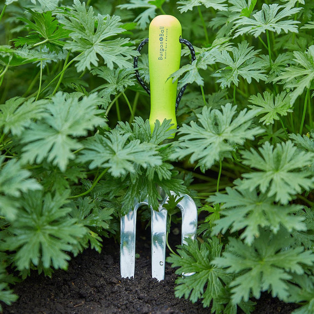 Burgon and Ball Burgon & Ball – FloraBrite Fluorescent Hand Fork (Pink or Yellow) - Fork - AllotMate Essentials - GFB/HFYELL - 5019360013136