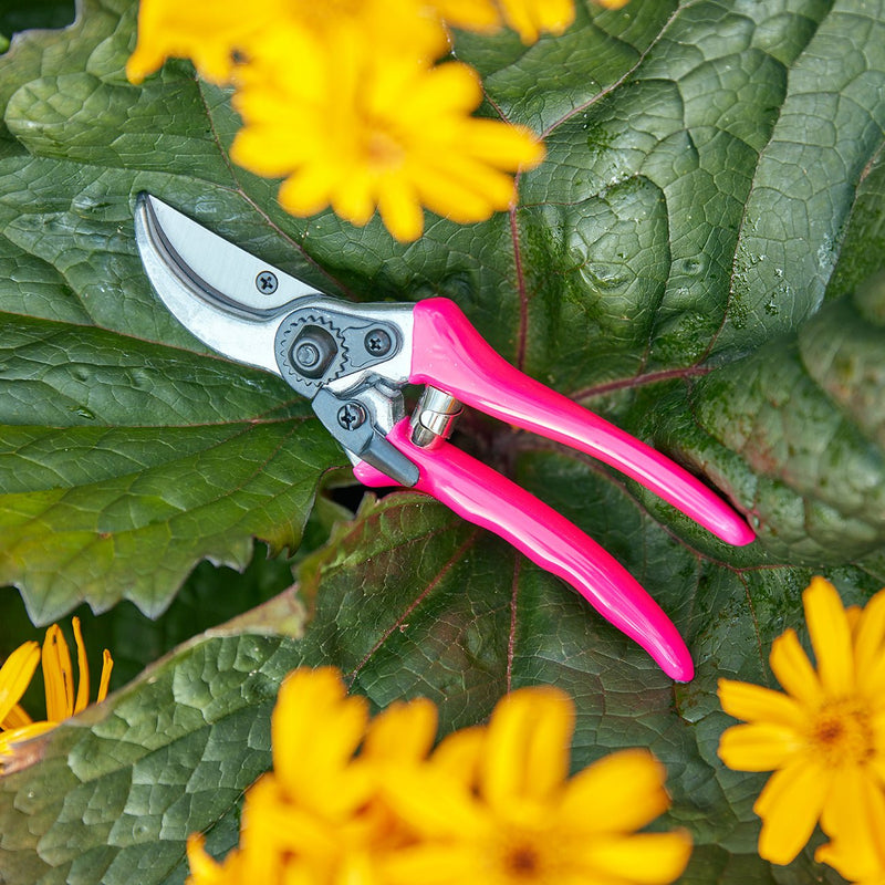 FloraBrite® Fluorescent Bypass Secateurs – Bright Garden Tool in Pink or Yellow | Burgon & Ball | Bypass Secateurs | GFB/BSPINK 5019360013068 | AllotMate Essentials
