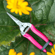 FloraBrite® Fluorescent Flower & Fruit Snips – Precision Trimming Tool in Pink or Yellow | Burgon & Ball | Flower & Fruit Snip | GFB/FSPINK 5019360013105 | AllotMate Essentials