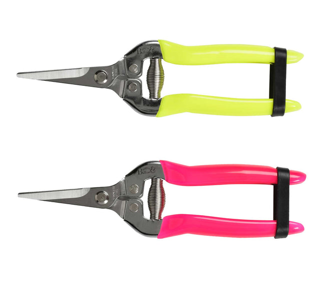 Burgon and Ball Burgon & Ball - Fluorescent Flower & Fruit Snip - Flower & Fruit Snip - AllotMate Essentials - GFB/FSYELL - 5019360013099