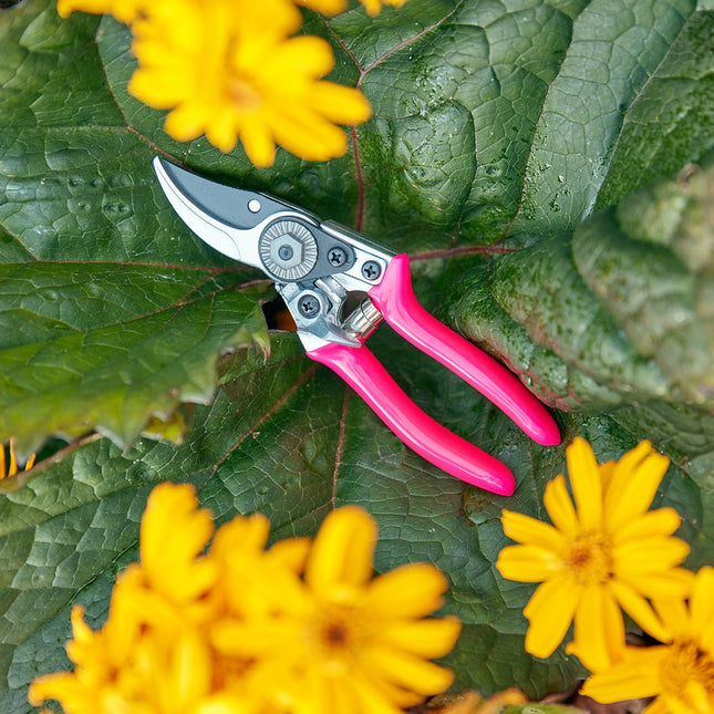 Burgon and Ball Burgon & Ball - Fluorescent Pocket Pruner - Pruner - AllotMate Essentials - GFB/PPPINK - 5019360013082