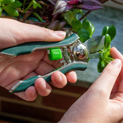 Houseplant Pruner – Compact Precision Cutter for Indoor Plants | Burgon & Ball | Pruner | GIG/PRUNER 5019360014706 | AllotMate Essentials