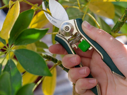 Houseplant Pruner – Compact Precision Cutter for Indoor Plants | Burgon & Ball | Pruner | GIG/PRUNER 5019360014706 | AllotMate Essentials