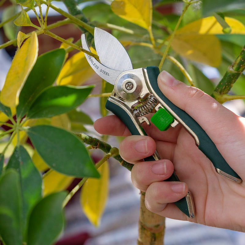Houseplant Pruner – Compact Precision Cutter for Indoor Plants | Burgon & Ball | Pruner | GIG/PRUNER 5019360014706 | AllotMate Essentials