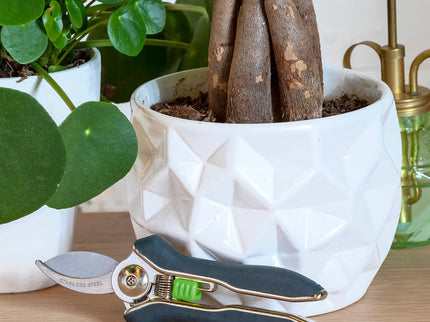 Houseplant Pruner – Compact Precision Cutter for Indoor Plants | Burgon & Ball | Pruner | GIG/PRUNER 5019360014706 | AllotMate Essentials