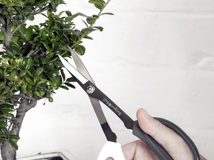 Japanese Pruning Scissors – Fine Garden Cutting Tool | Burgon & Ball | Pruning Scissors | GIG/SCISSOR 5019360014737 | AllotMate Essentials