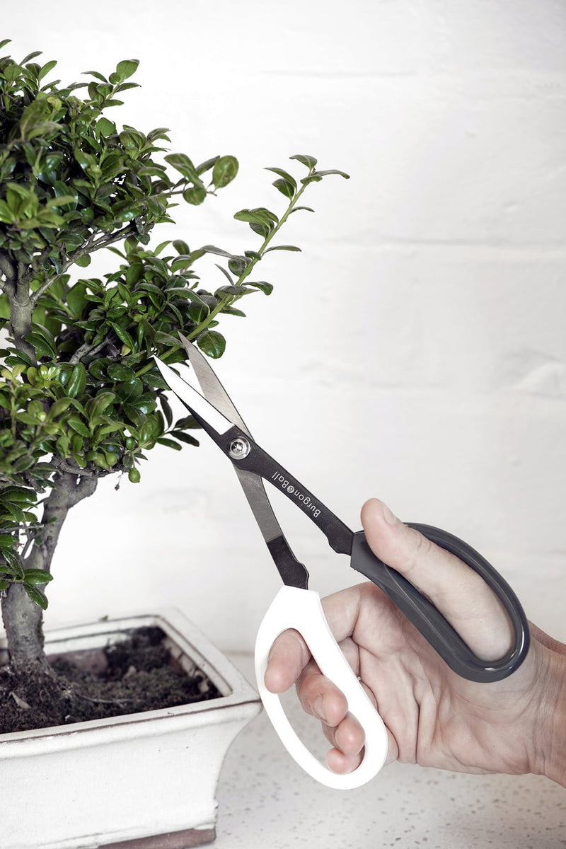 Japanese Pruning Scissors – Fine Garden Cutting Tool | Burgon & Ball | Pruning Scissors | GIG/SCISSOR 5019360014737 | AllotMate Essentials