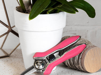 Orchid Snips – Fine Precision Scissors for Delicate Plants | Burgon & Ball | Snips | GIG/SNIP 5019360014713 | AllotMate Essentials