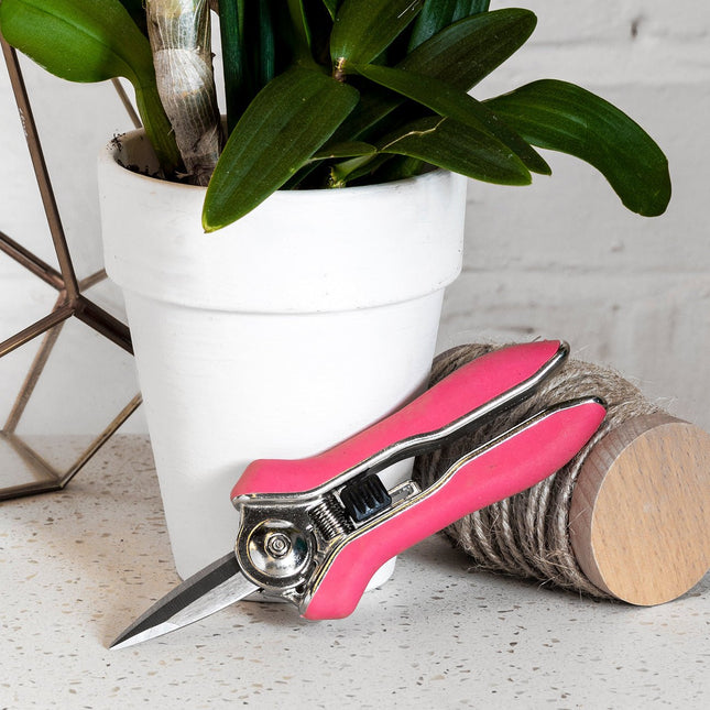 Orchid Snips – Fine Precision Scissors for Delicate Plants | Burgon & Ball | Snips | GIG/SNIP 5019360014713 | AllotMate Essentials