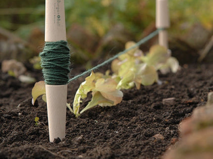 Planting Line – Traditional Wooden Line Marker for Straight Rows | Burgon & Ball | Planting Line | GES/PLINESML 5019360011132 | AllotMate Essentials