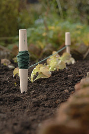 Planting Line – Traditional Wooden Line Marker for Straight Rows | Burgon & Ball | Planting Line | GES/PLINESML 5019360011132 | AllotMate Essentials