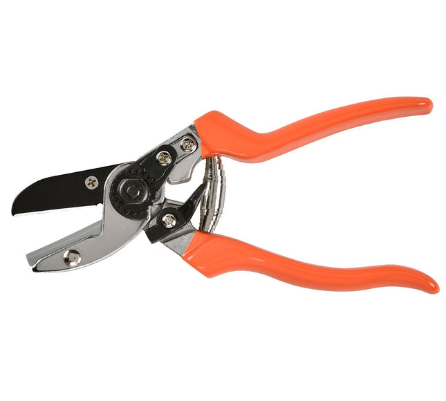 Anvil Secateurs – Ideal for Woody Stems & Dead Growth | RHS by Burgon & Ball | Anvil Secateur | GTO/SCA 5019360002772 | AllotMate Essentials