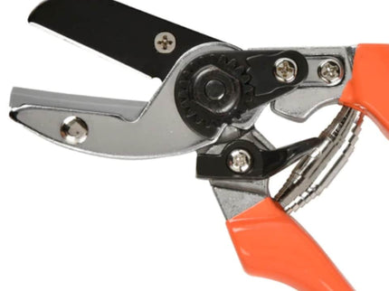 Anvil Secateurs – Ideal for Woody Stems & Dead Growth | RHS by Burgon & Ball | Anvil Secateur | GTO/SCA 5019360002772 | AllotMate Essentials
