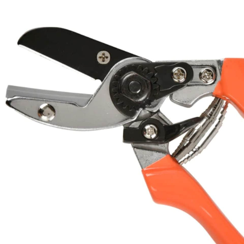Anvil Secateurs – Ideal for Woody Stems & Dead Growth | RHS by Burgon & Ball | Anvil Secateur | GTO/SCA 5019360002772 | AllotMate Essentials
